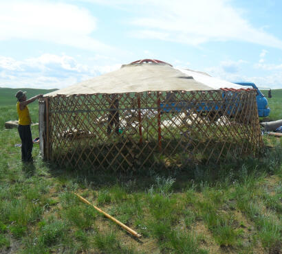 A ger with a beige felt cover draped over the roof frame on an open green grassland.